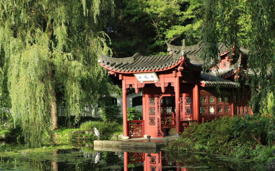 Haren Hortus Botanicus, Netherlands